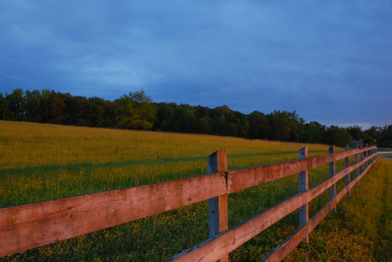 Countryside